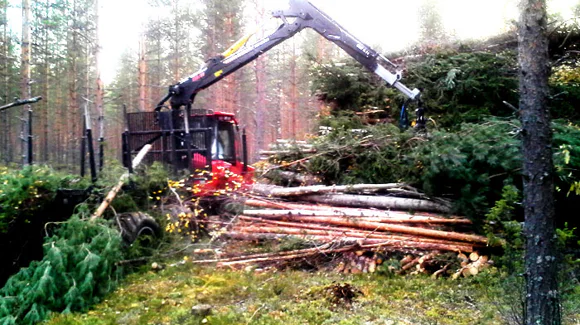 Images Metsäkoneurakointi Teemu Tiitinen Oy