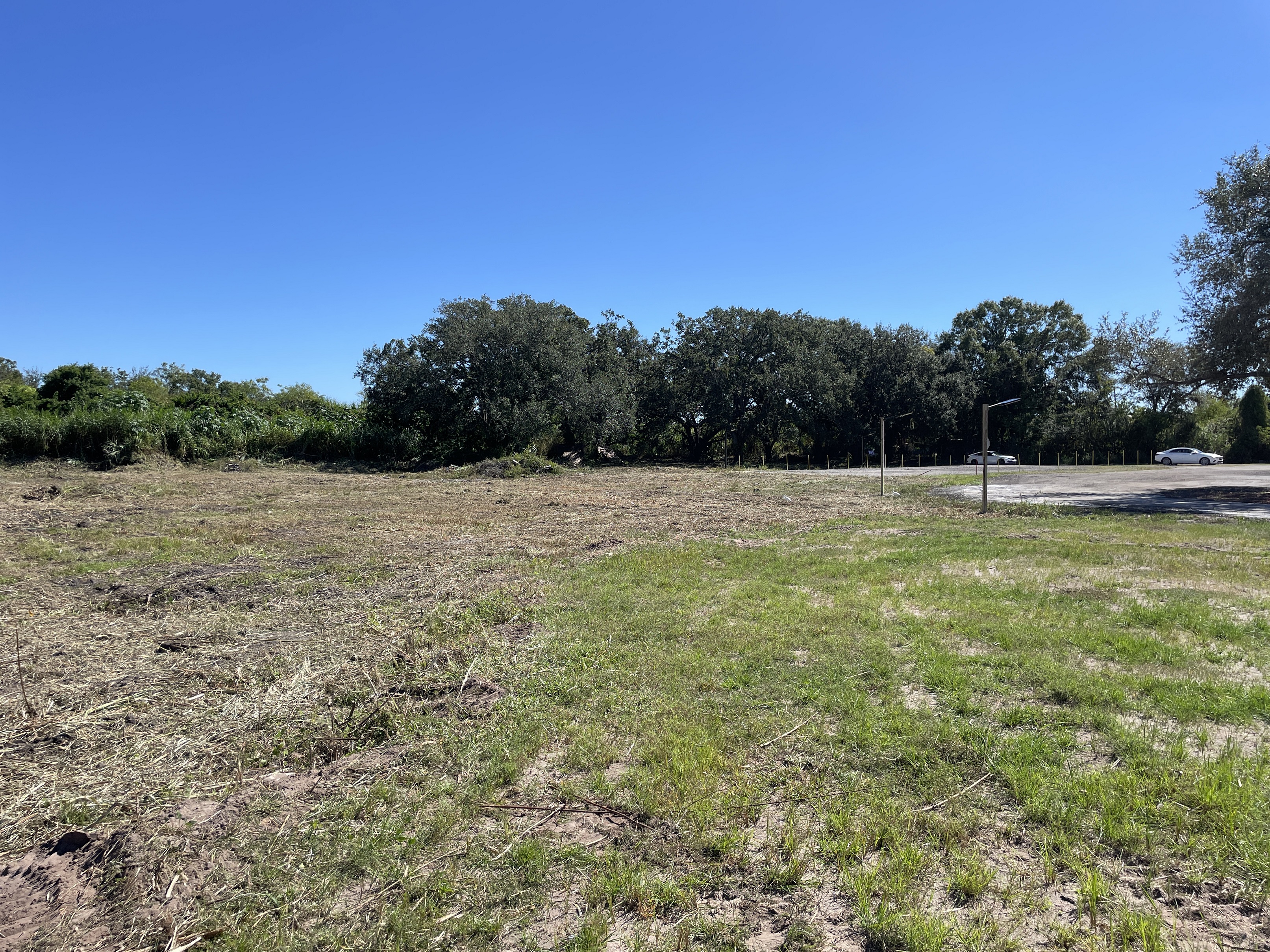 Brush-cutting / land-clearing.