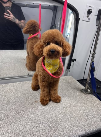 Images Kontota of NW Austin, TX