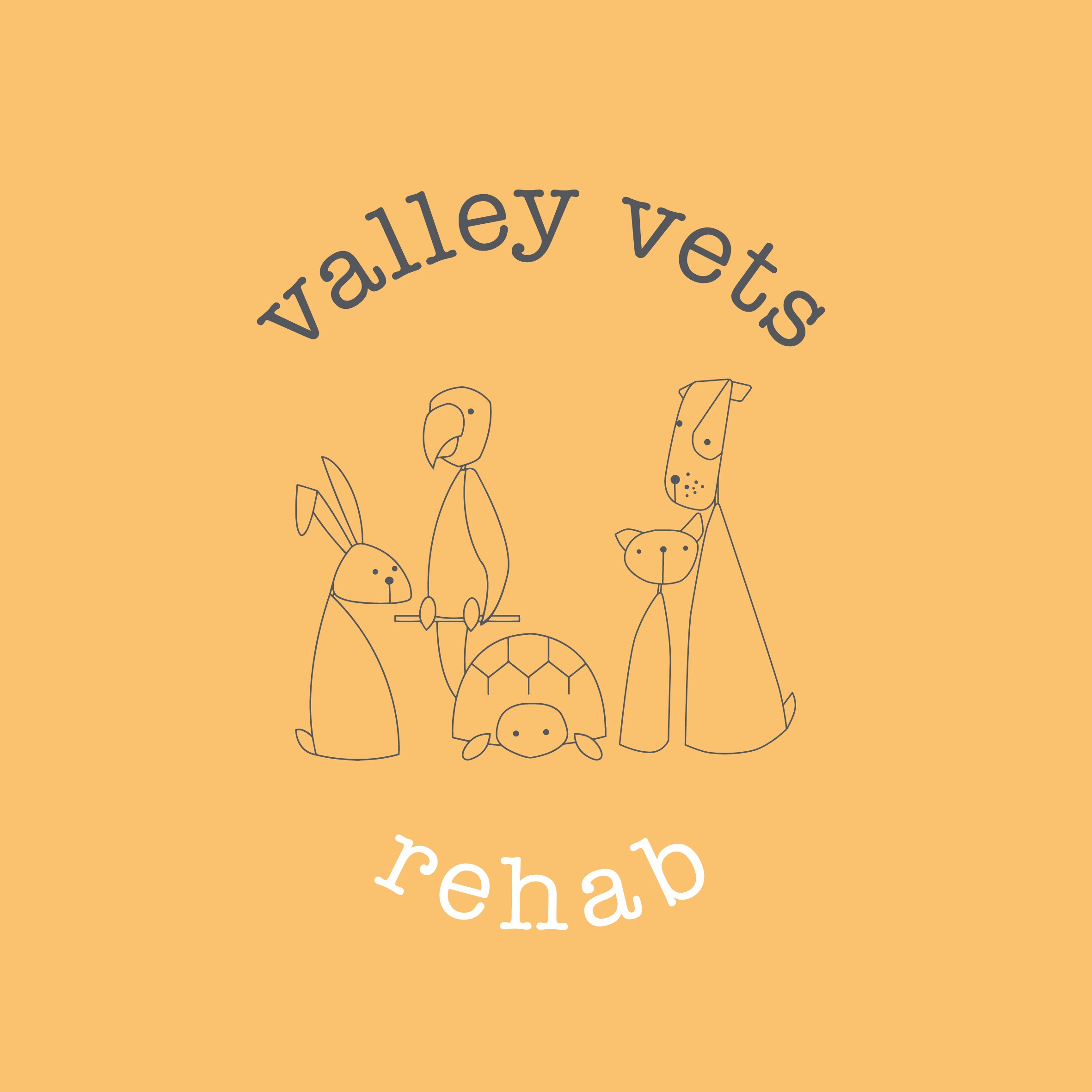 company logo