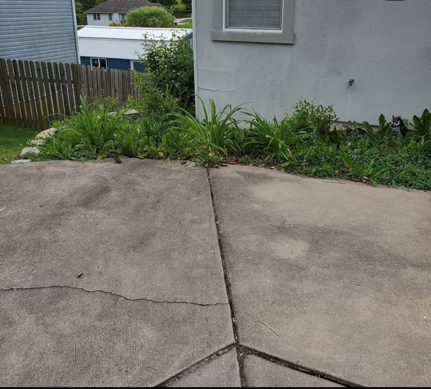 Images Cooks Lawn Care Service