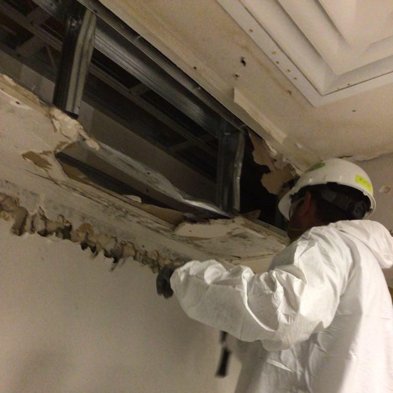 Removal of mold-contaminated building material