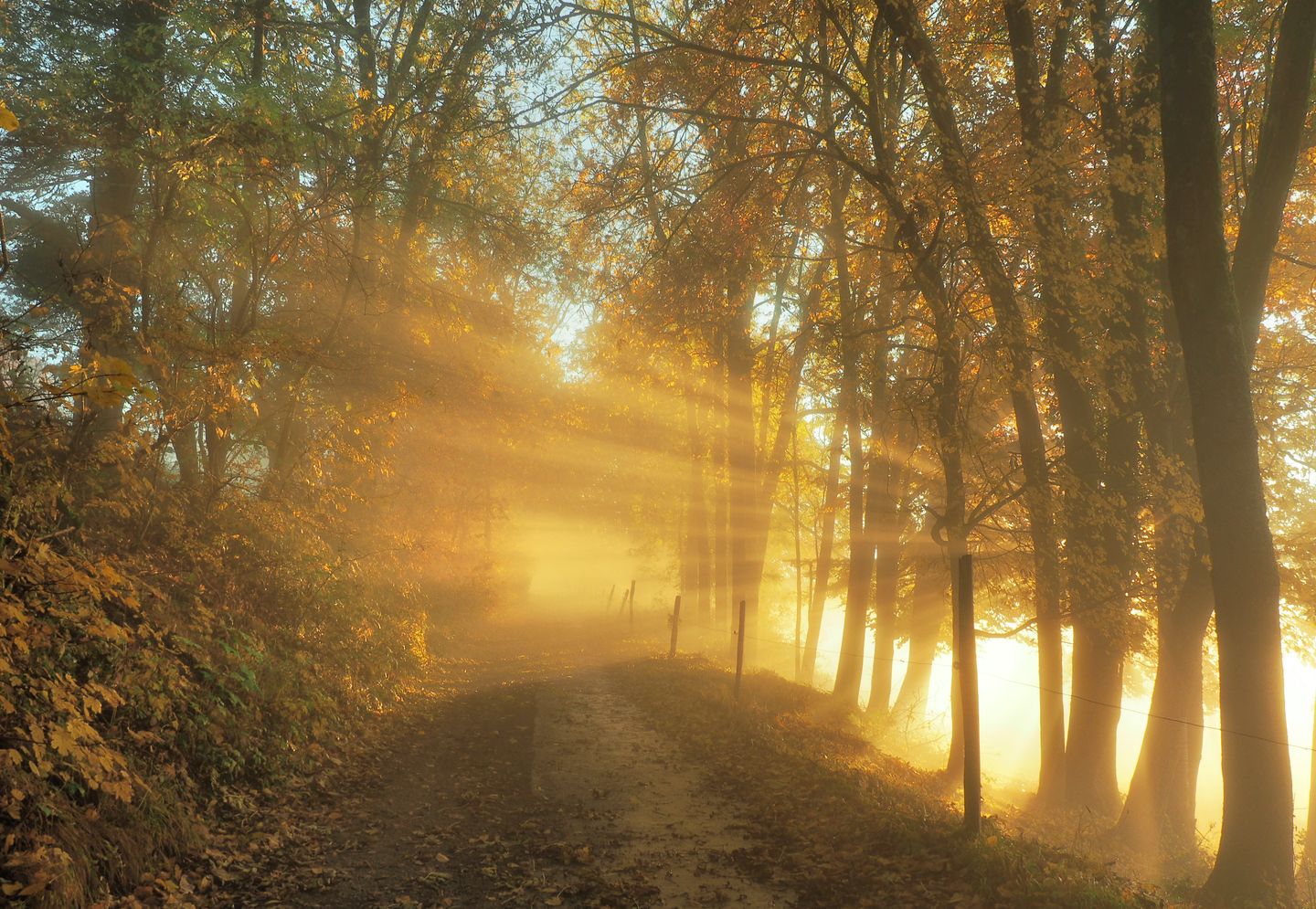 Trauerrednerin Sahm, Bismarckstr. 11 in Erkrath