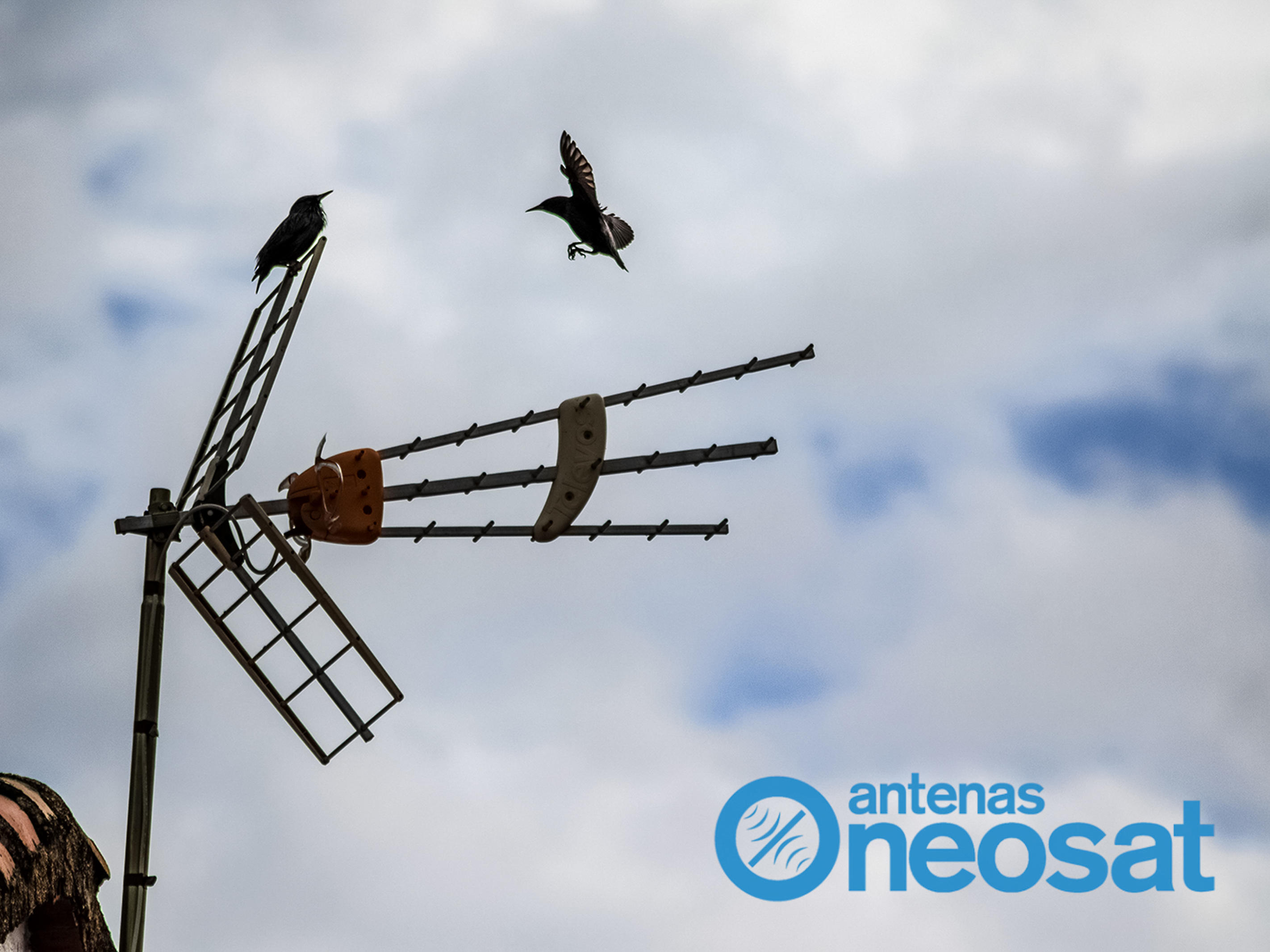Images Antenas Neosat