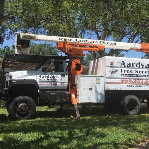 Aardvark Tree Services, LLC Photo