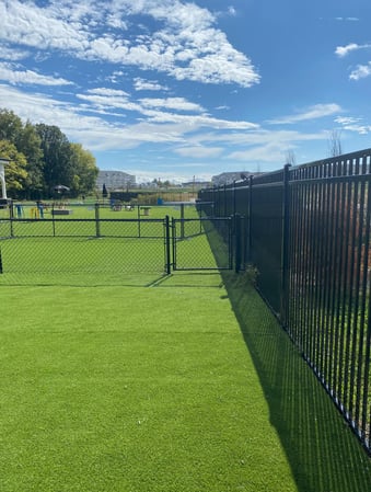 Images Crate Escapes Dog Park + Bar