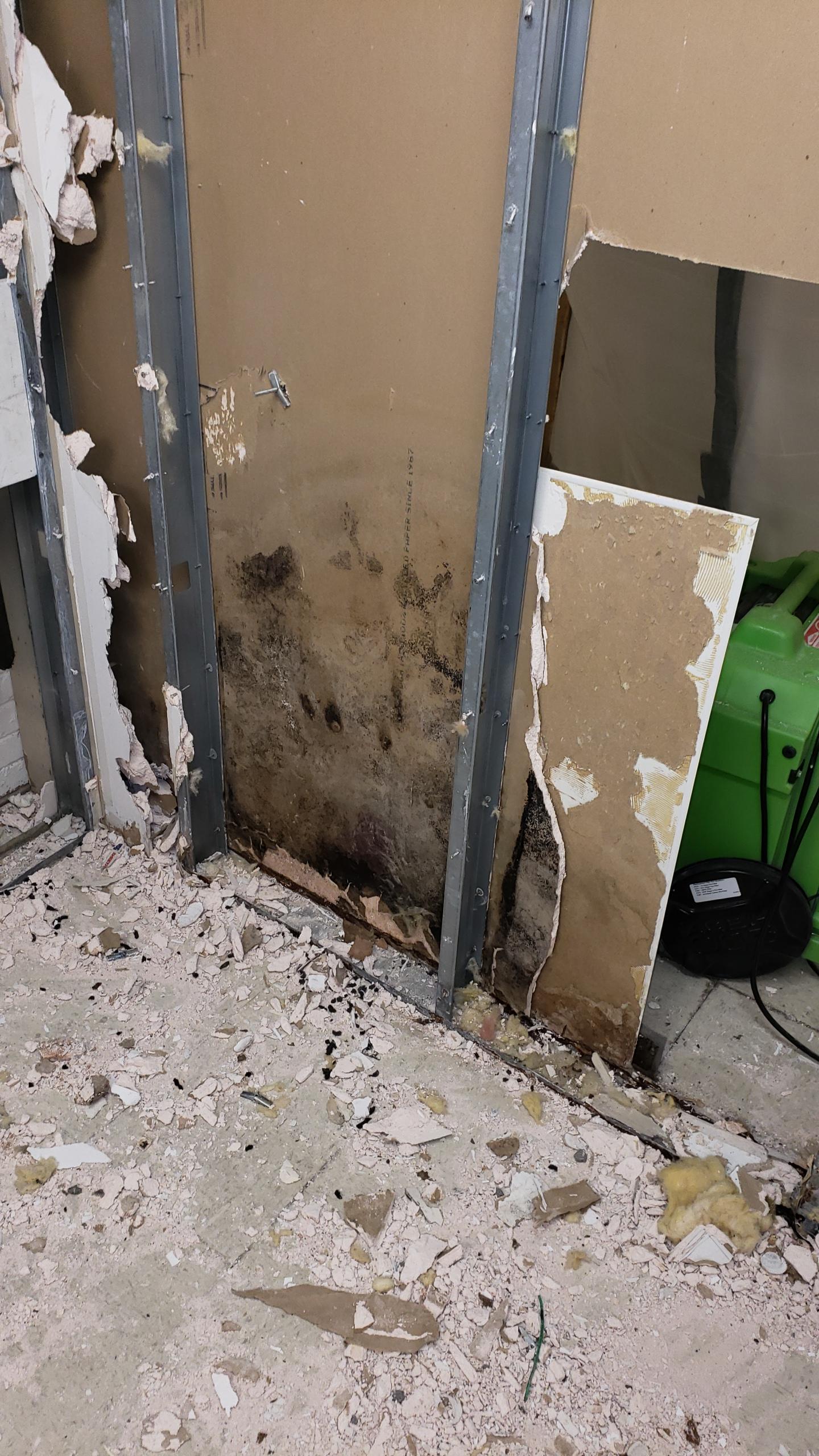 If you have a mold problem in your home or business, SERVPRO of Hyde Park/ Central Austin can help.
