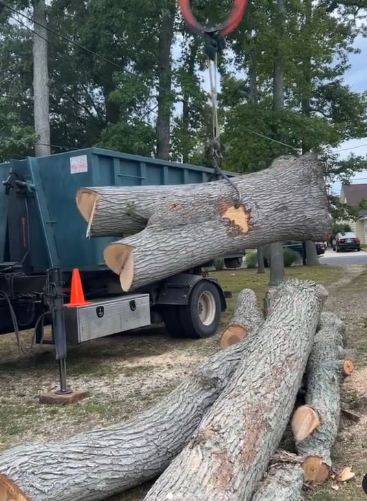 Images R.T. Davies Inc. Tree Experts