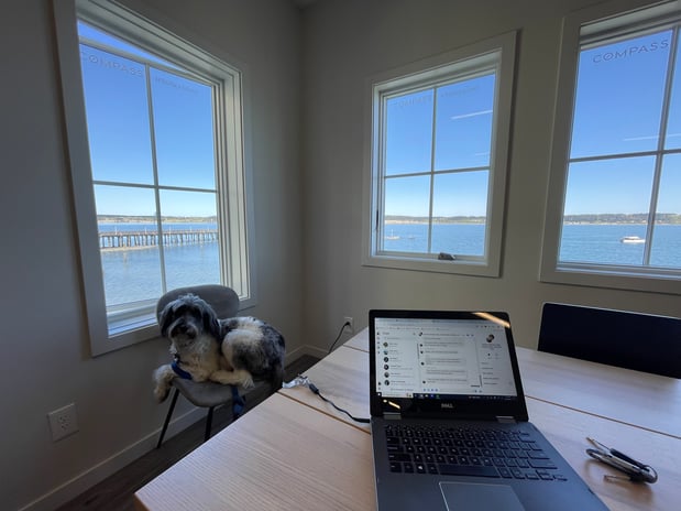 Images Anita Johnston, COMPASS REALTOR | Whidbey