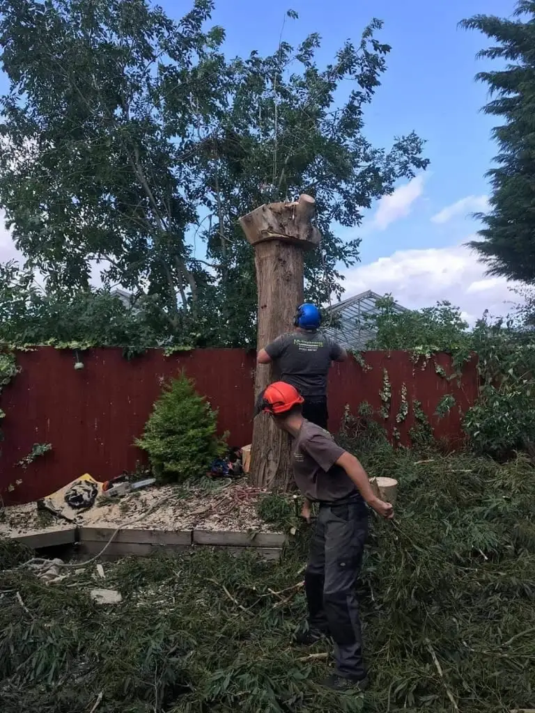 Images J R Stephenson Landscaping Ltd