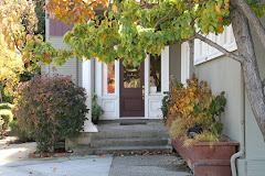 Images Boro Insurance Agency