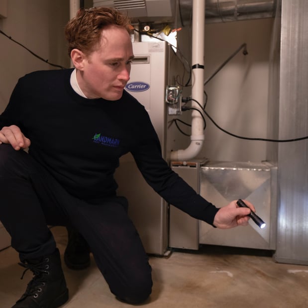 Images Landmark Pest Management