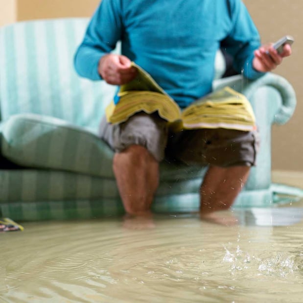 Images Clearwater Mold Removal