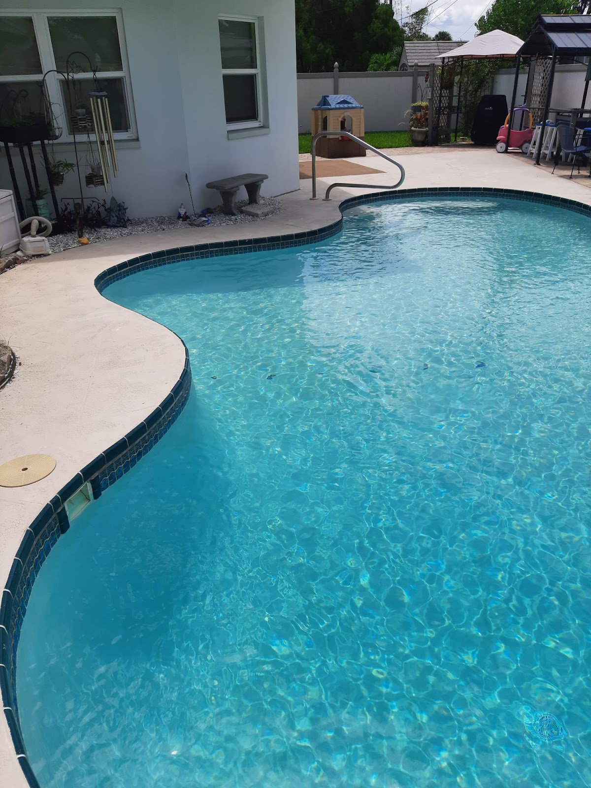 Curved backyard swimming pool with sparkling blue water, light concrete decking, and a private residential setting.