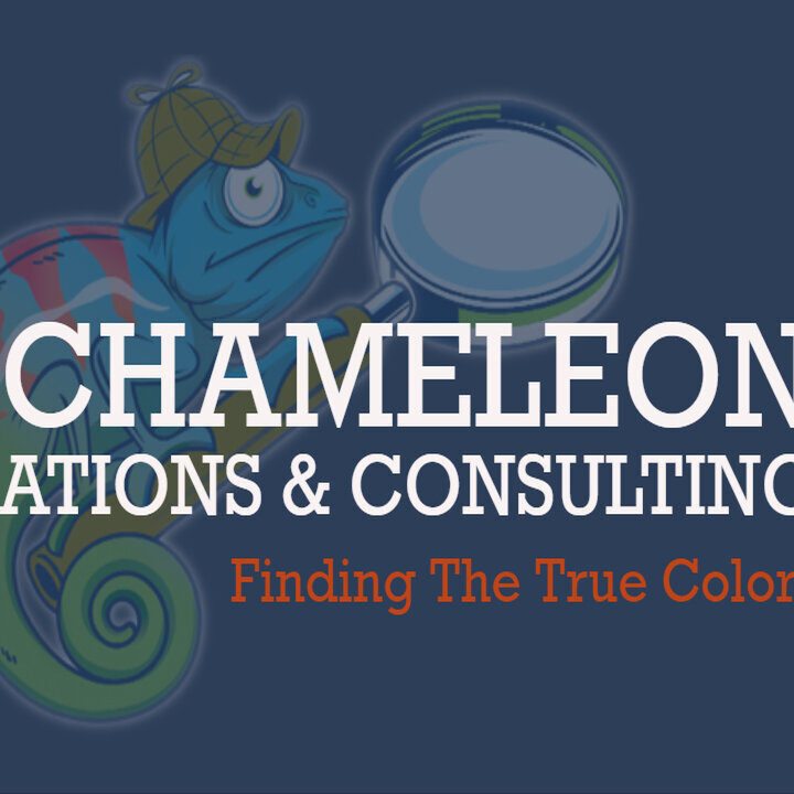 Images Blue Chameleon Investigations