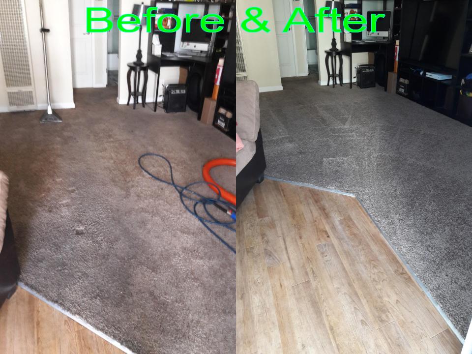 Able Body Carpet & Restoration Photo