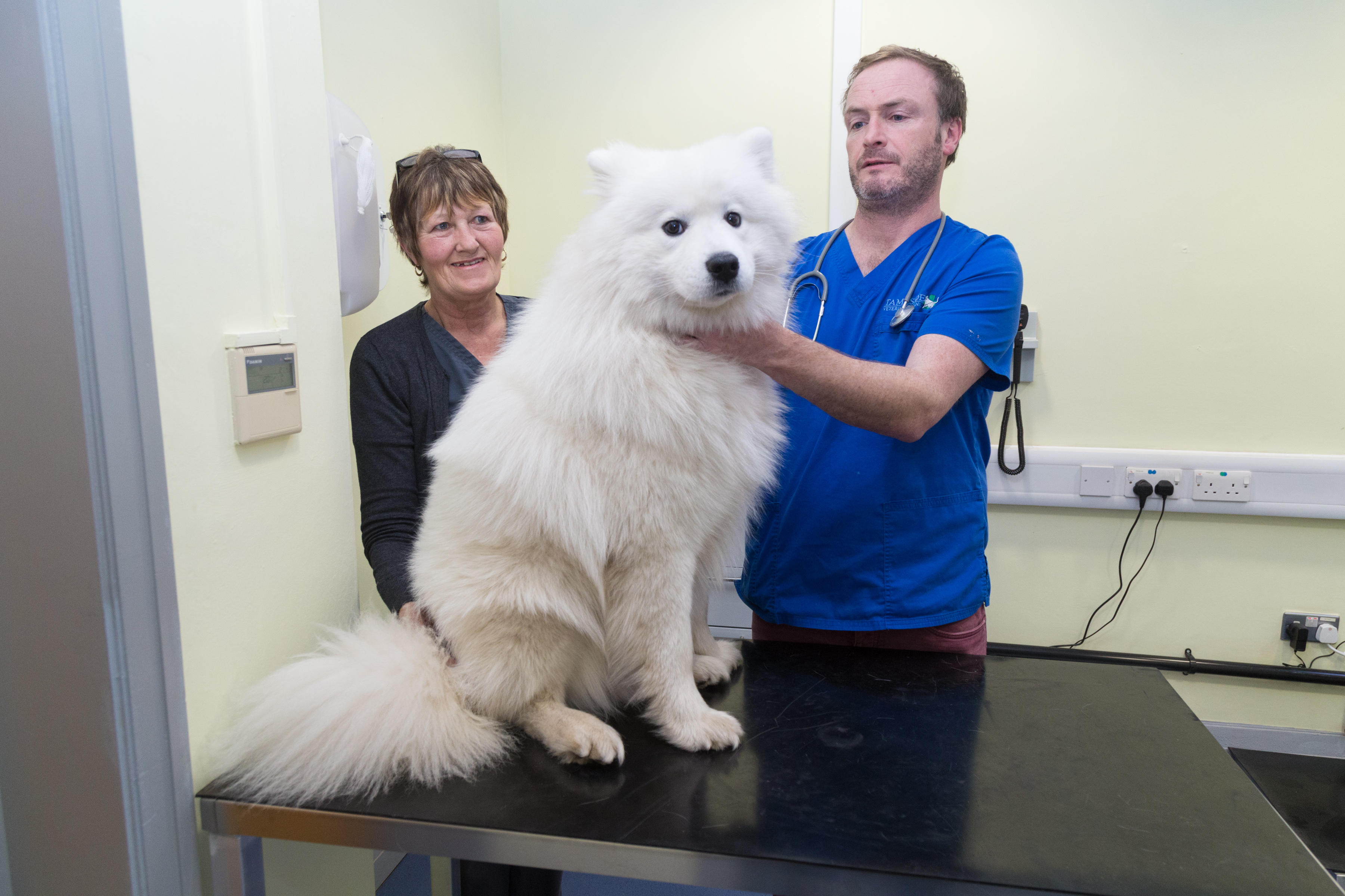 Images Tameside Veterinary Clinic, Ashton-Under-Lyne