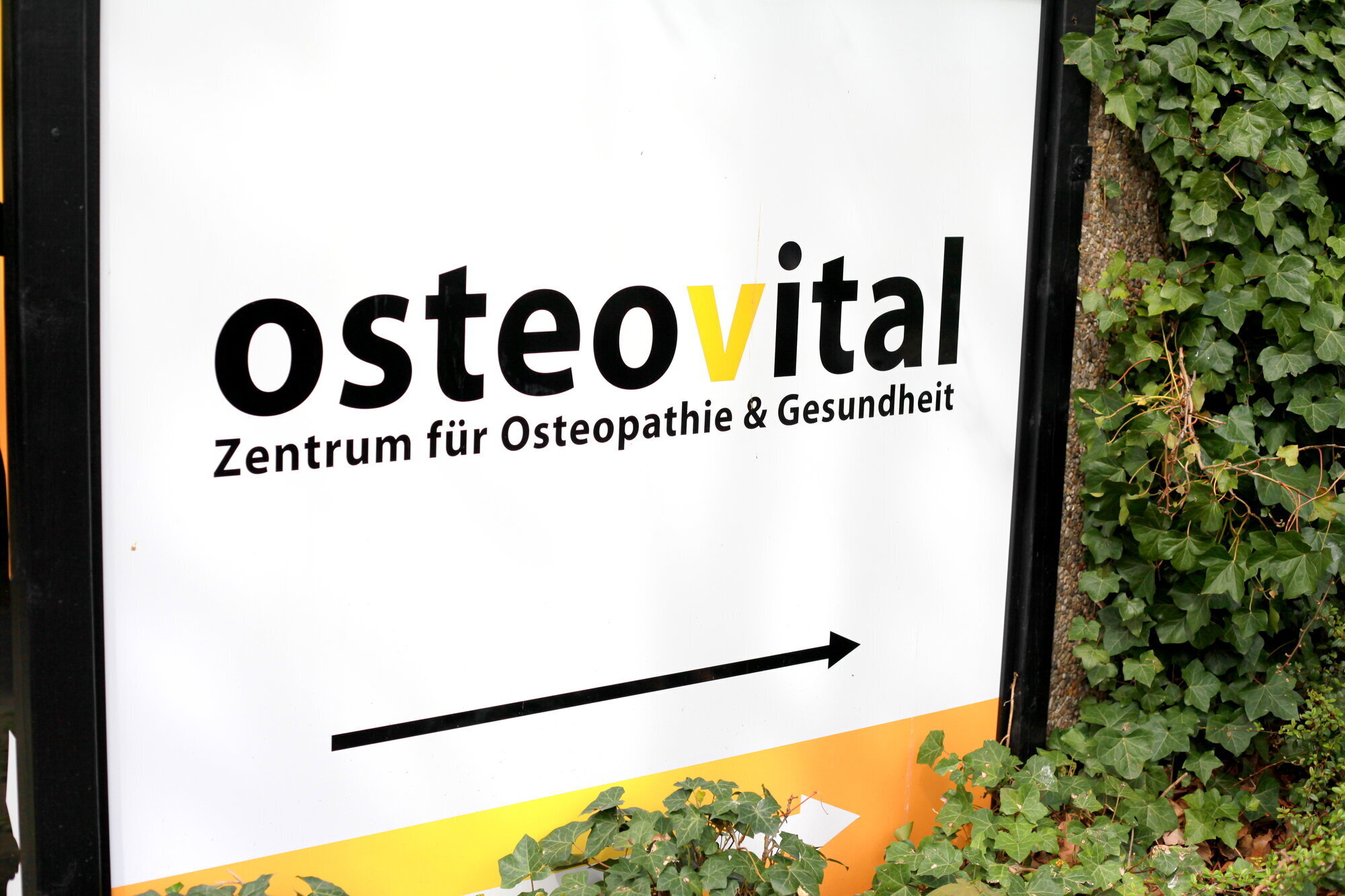 Bilder OSTEOVITAL - Osteopathie & Personal Training Hamburg