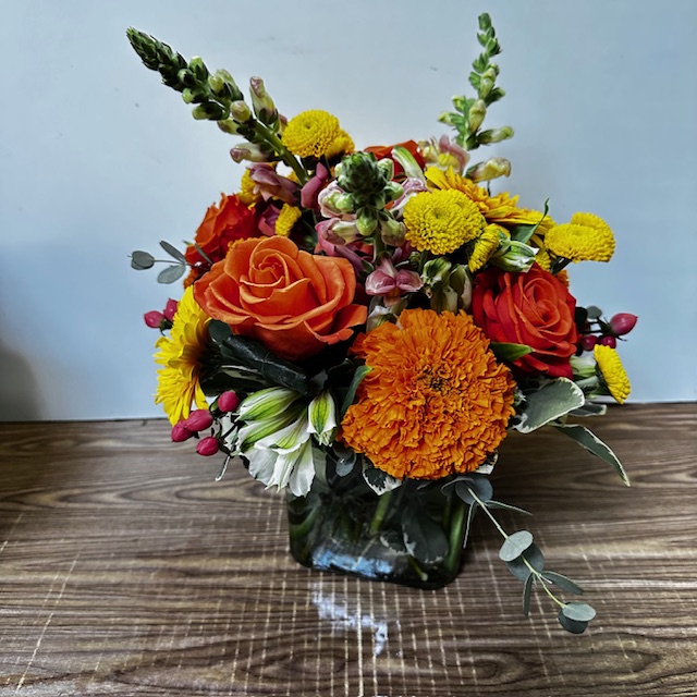 Images Jane's Roses & Flowers