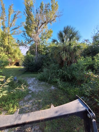 Images Clearview Forestry Mulching