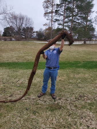 Images Windy City Rooter Plumbing, Sewer, and Drainage