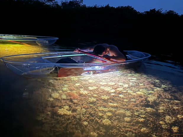 Images Key West Boat & Jet Ski Adventures