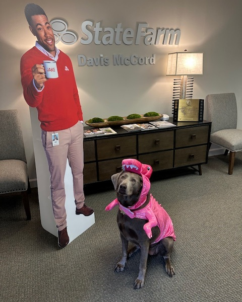 Images Davis McCord - State Farm Insurance Agent