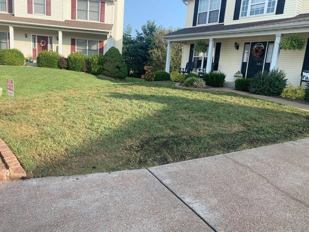 Images Archway Lawn Care