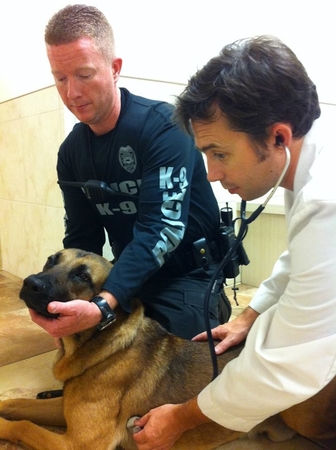 Images Animal Emergency Center