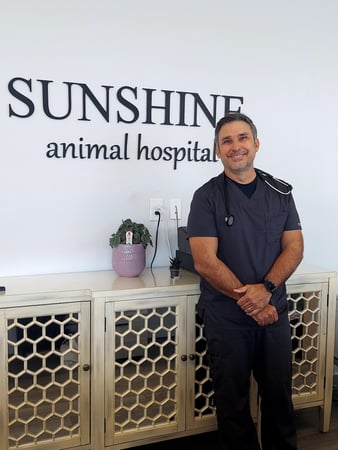 Images Sunshine Animal Hospital