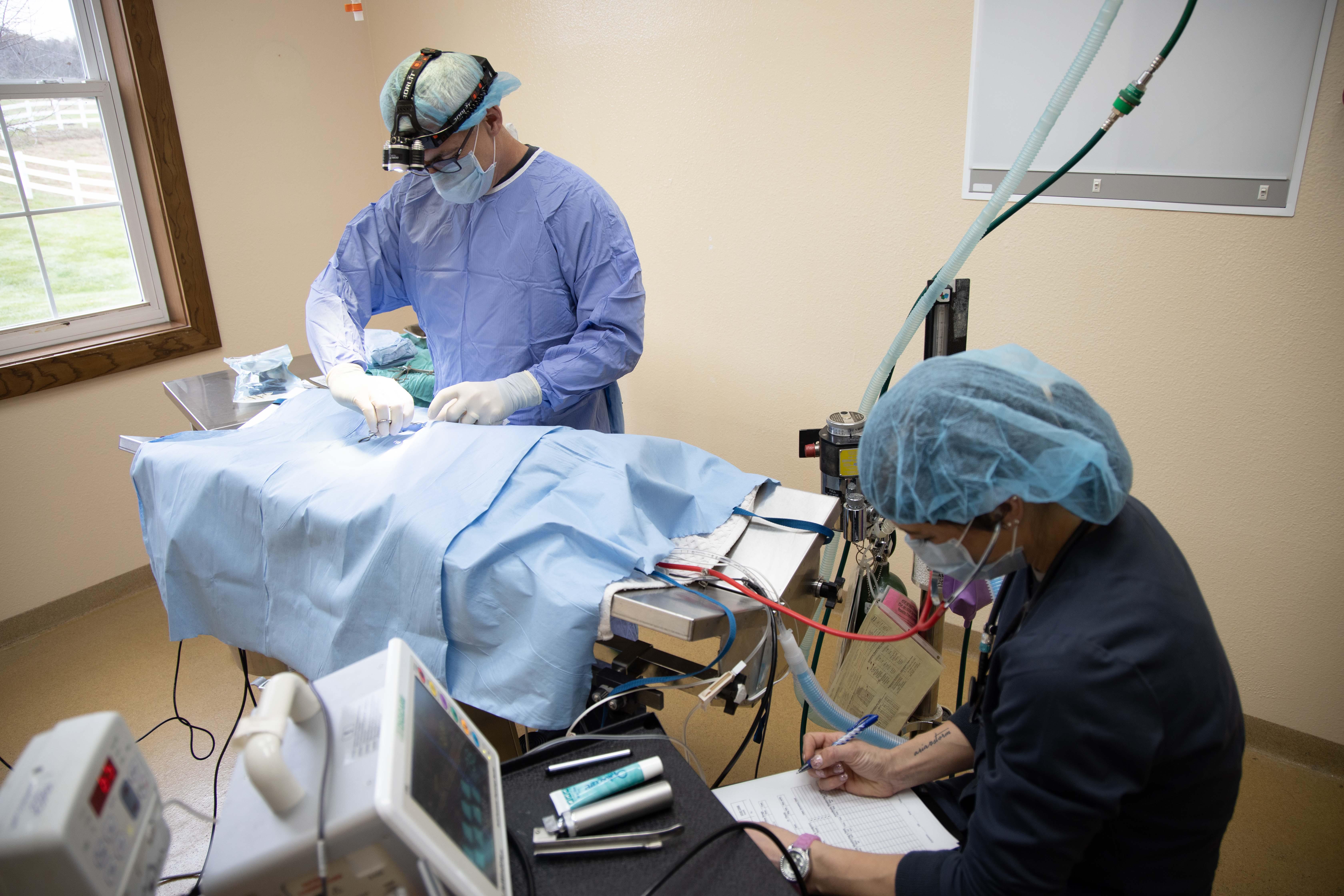If your pet's in need of surgery, we can help! From elective procedures to advanced orthopedics, dental, laceration Repair, mass Removal, and emergency surgery - our team has you covered!