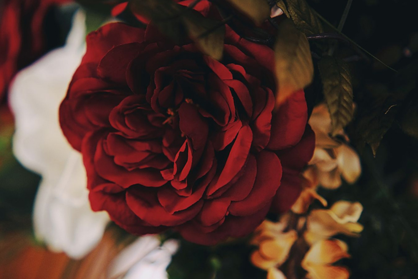 Images Rønnaug's Begravelsesbyrå