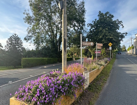Eden landscaping 12
