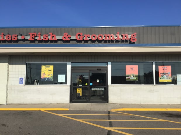 Images Petco Grooming