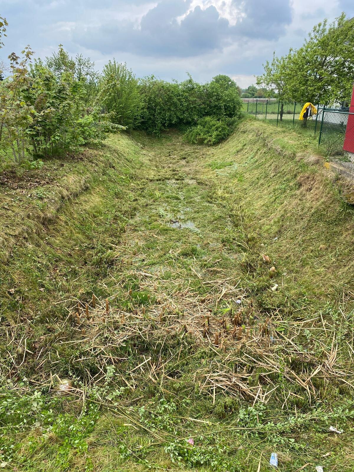 Fejzula Dienstleistungen, Bismarckstraße 1 in Lahr/Schwarzwald
