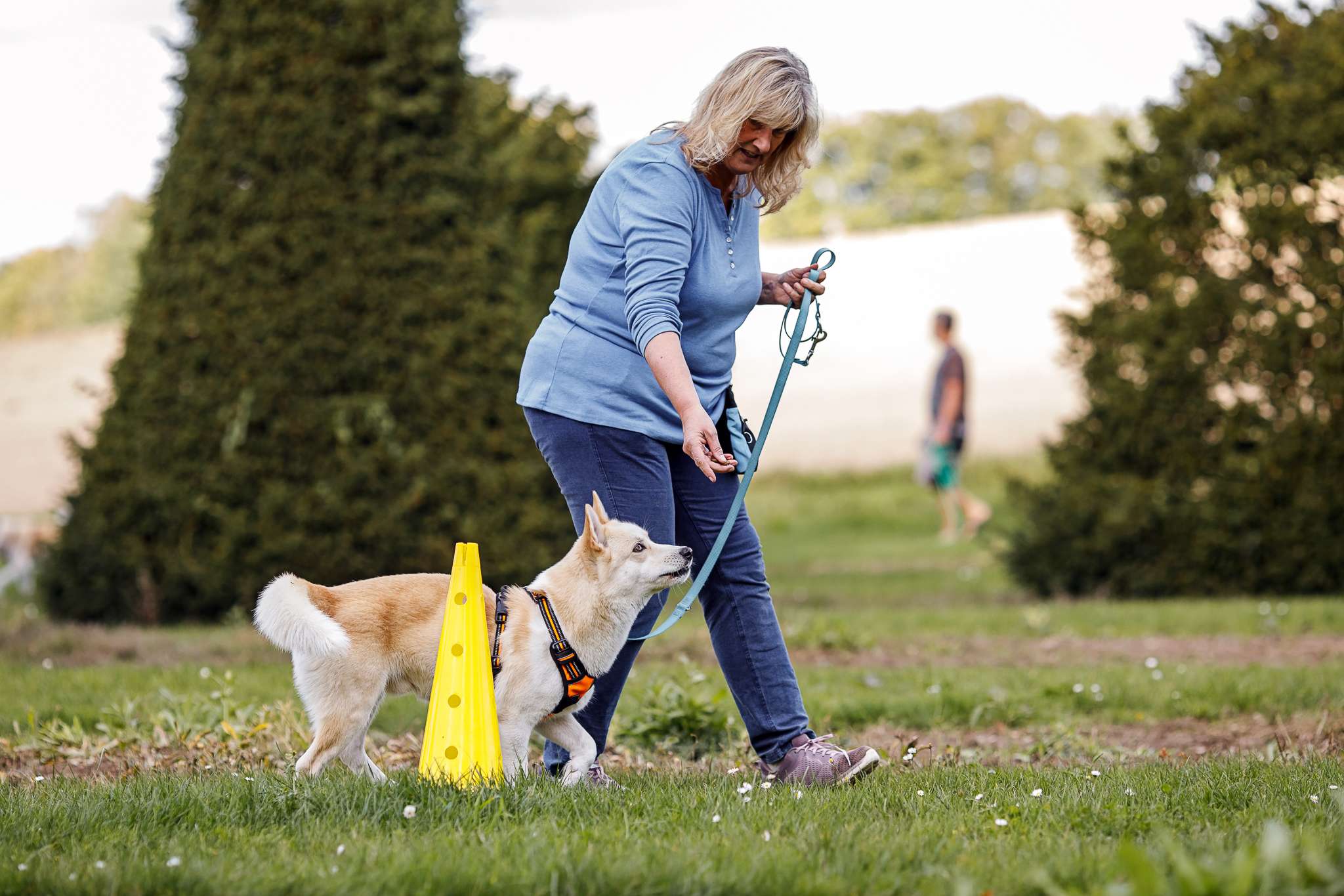 Hundeschule DogGeeks® TonCane: Online & Mobil, Voßbarg 23 in Seevetal