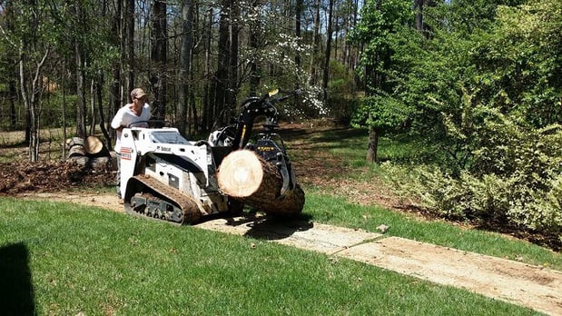 Images Tomahawk Tree Service