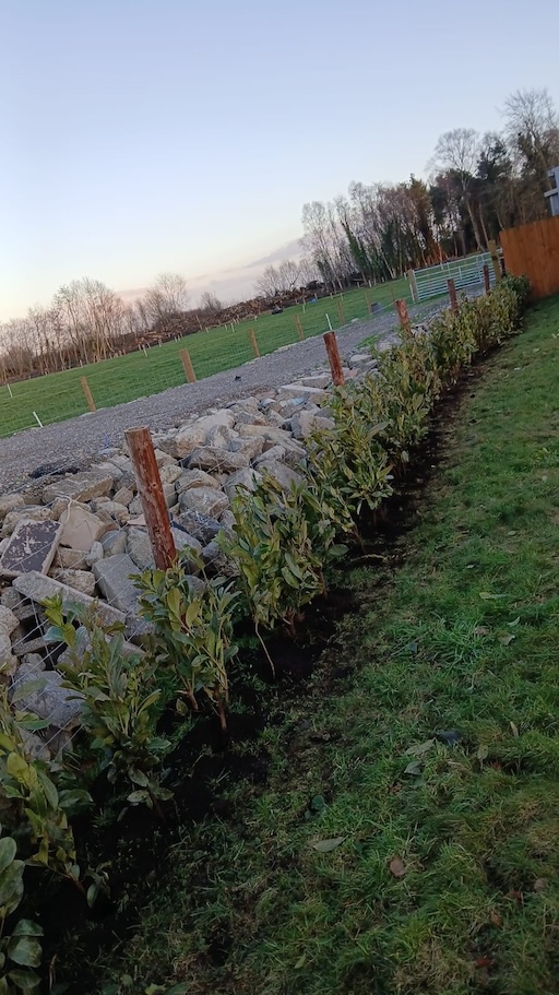 Hedges