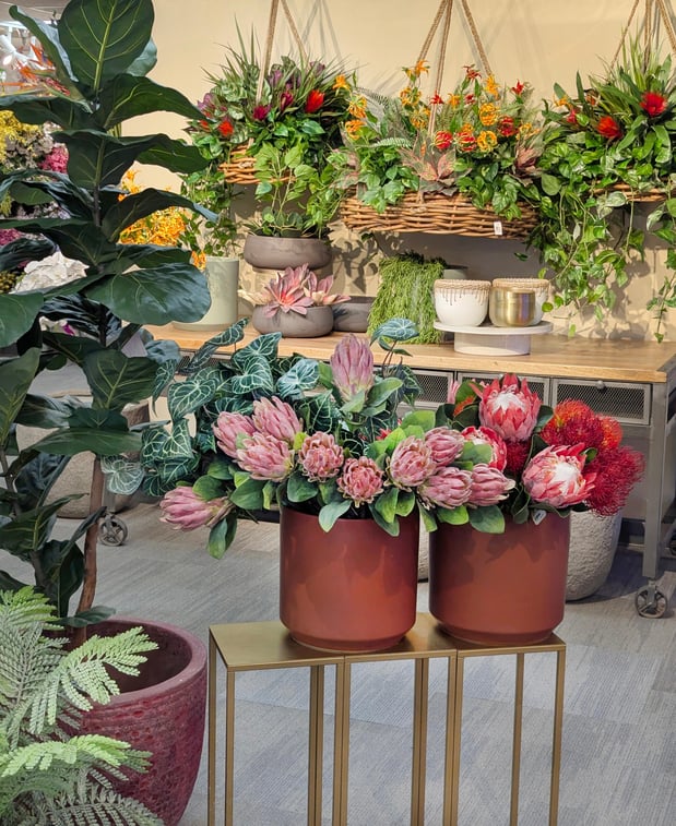 Images Aldik Home