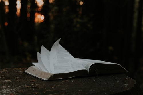 main blog image