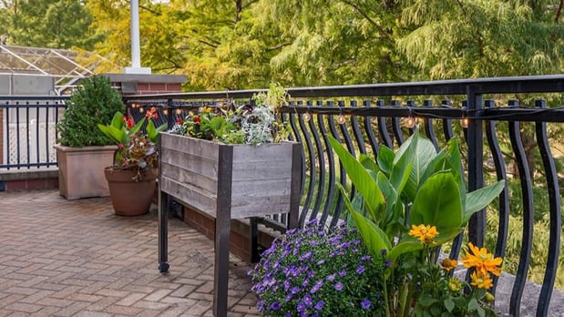 Images Brookdale Creve Coeur