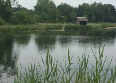 Angelsee Bendestorfer Wassermühle Inhaber: Dirk Schmanns, Bendestorfer Chaussee 17 in Bendestorf
