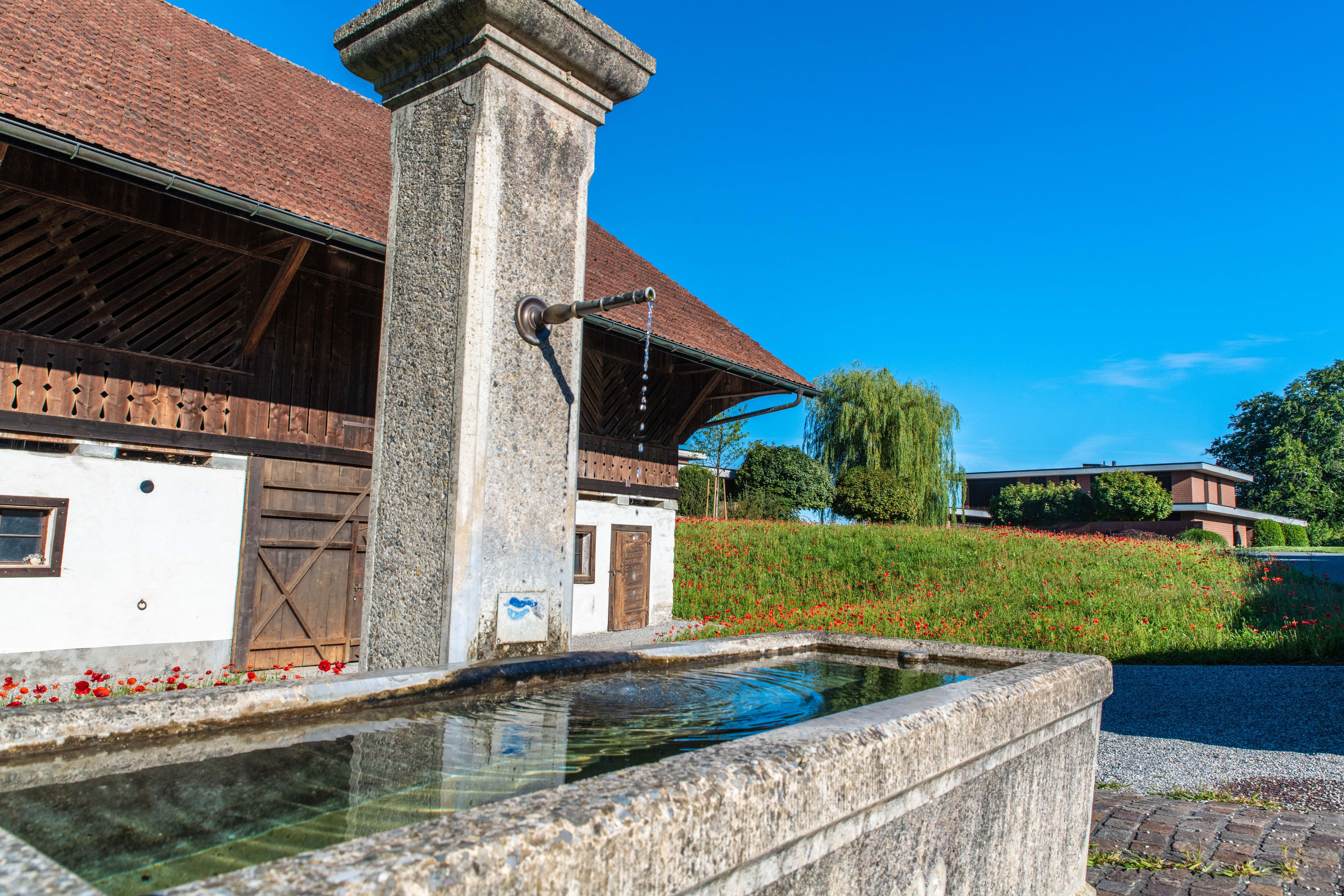 Bilder E.+R. Forrer Gartenbau AG