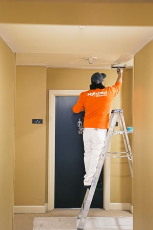 Images My Painter & Exteriors