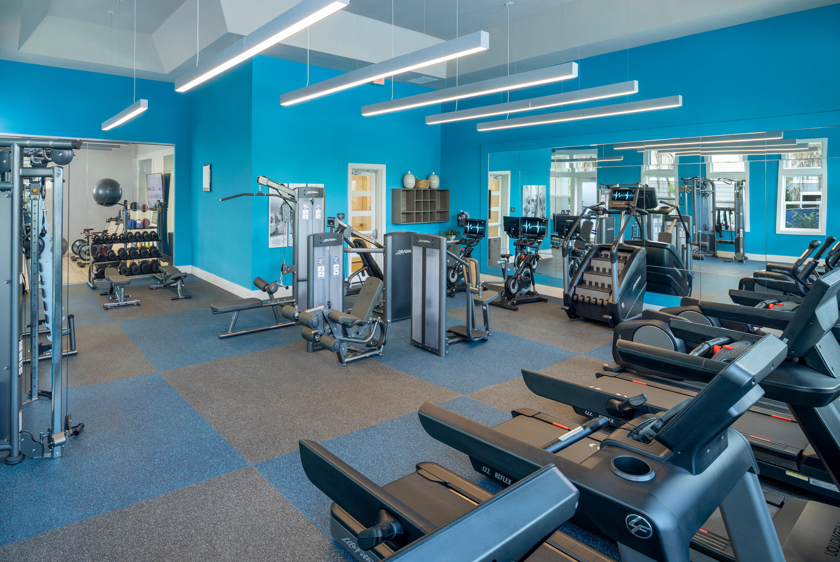 Professional Fitness Center at Waverly Terrace luxury apartments in Temple Terrace, FL