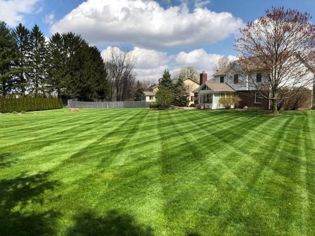 Images Miller Lawn Maintenance