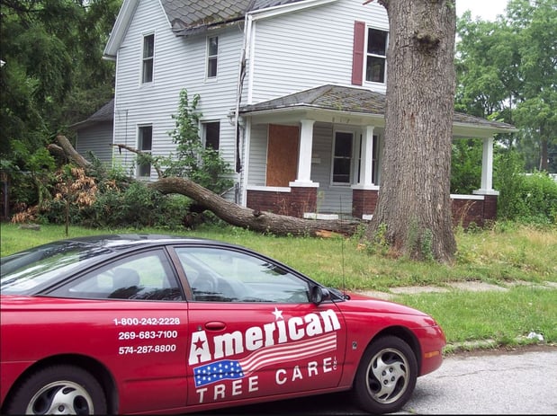 Images American Tree Care
