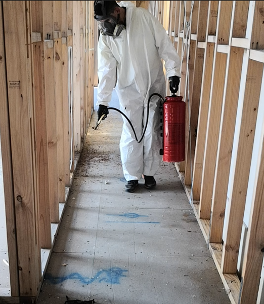 Images Absolute Restoration Service