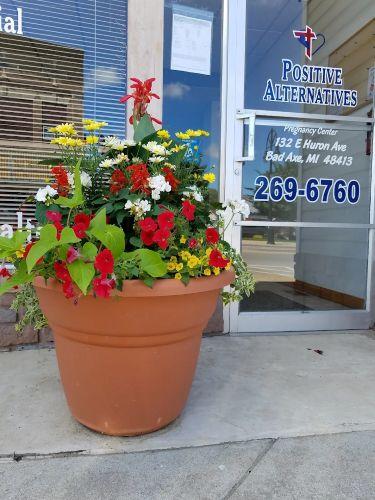 Positive Alternatives Bad Axe MI