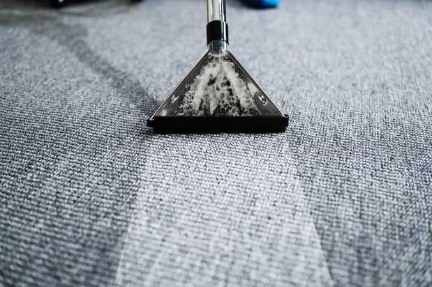 Images Carpet Pro Carpet Cleaning & Dyeing